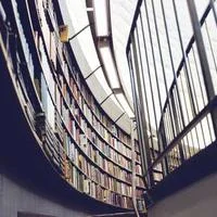 游戏法则